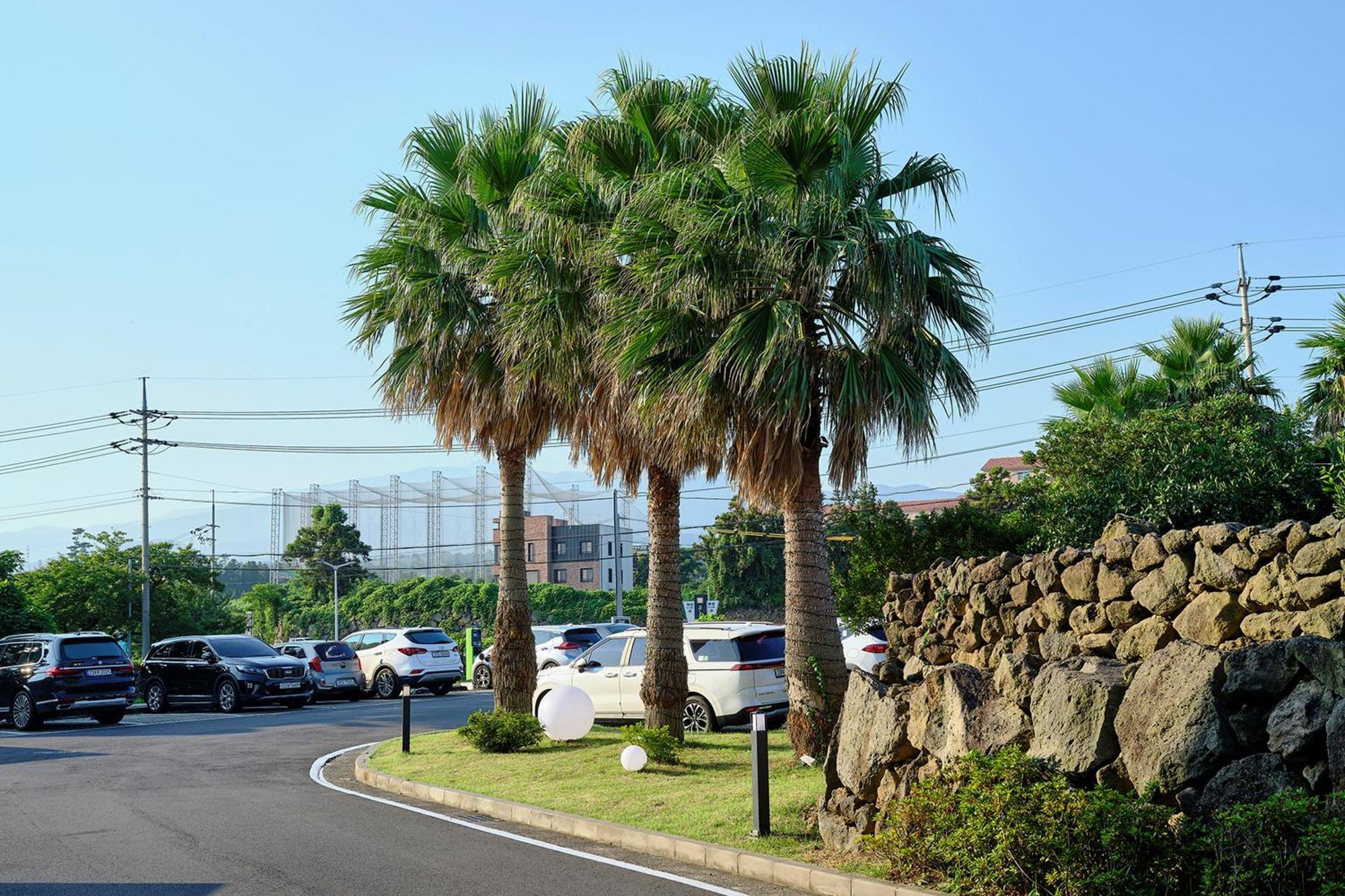 Shin Shin Hotel Jeju City Exterior foto
